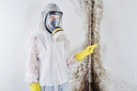 Best Asbestos and Lead Testing During Mold Inspection  in Waverly, NY